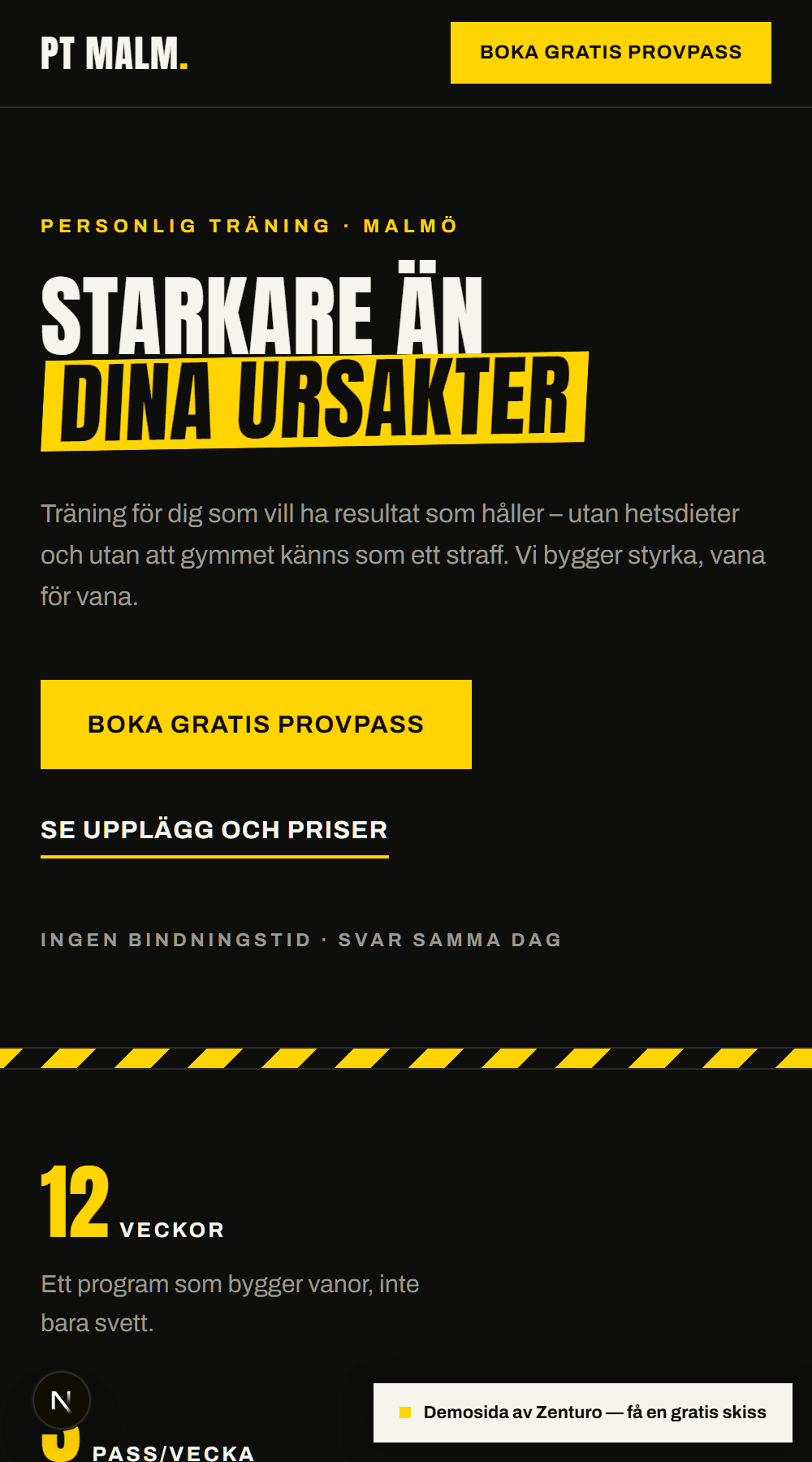 Demosida för PT Malm